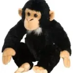 16521