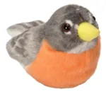 American Robin