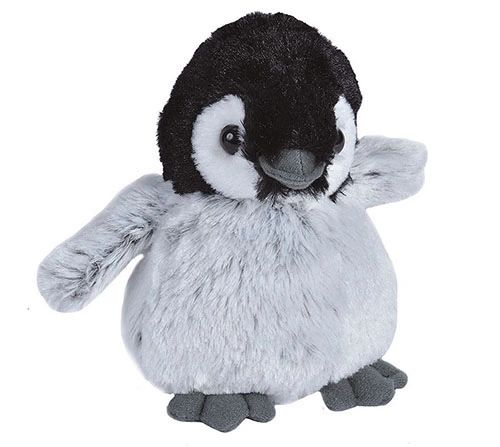 Baby-Emporer-Penguin Baby Emporer Penguin