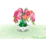 Popup Card Orchids