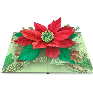 Popup Card Poinsettia