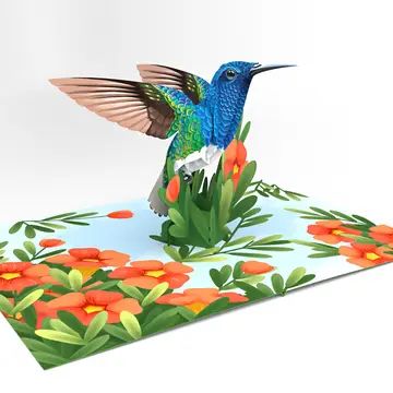 Popup card hummingbird