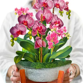 Orchid Oasis Pop-Up Greeting Card — Luxurious 3D Floral Card for Birthdays, Anniversaries & Special Occasions Delight someone special with the exotic beauty of our Orchid Oasis Pop-Up Greeting Card. When opened, this stunning 3D card reveals a vibrant arrangement of blooming orchids — a symbol of love, elegance, and sophistication. Handcrafted with premium-quality paper and intricate detailing, each pop-up card is a miniature work of art, perfect for birthdays, anniversaries, Mother’s Day, weddings, or thank-you messages. Its sophisticated design makes every greeting truly unforgettable.