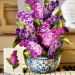 Garden Lilacs Pop-up