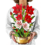 Amaryllis Pop-up