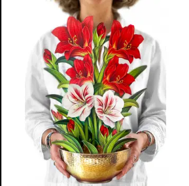 Amaryllis Pop-up