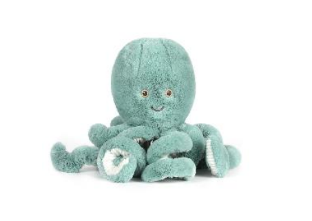 21OctopusB