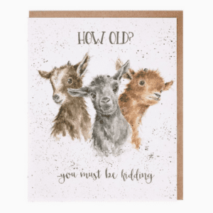 Just Kidding! Birthday Card - Image 1