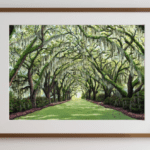 CTLP8X10P