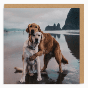 Beach Dogs Hug Greeting Card - Image 1