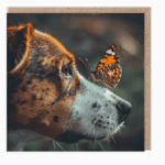 SAYSQ11675