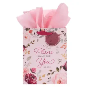 Gift Bag MD Pink I Know the Plans Jer. 29:11 - Image 1