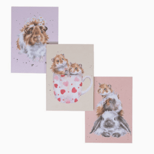 Whiskers and Paws set of 3 Notebooks