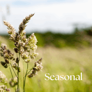 Calliopes Treasures Gift Store Home 11 Seasonal