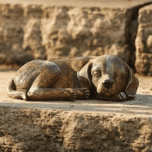 Bronze Sleeping Puppy