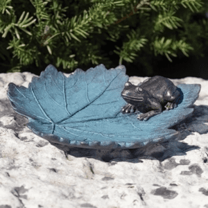 Frog On Leaf