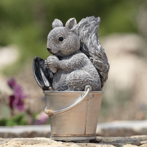 Squirrel In Bucket