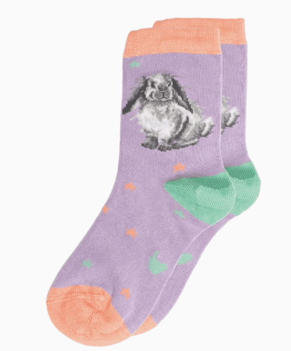 SOCKC004
