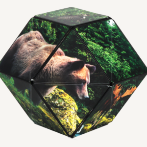 Shashibo - Wild Series, Forest - Image 3