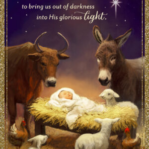 Love Came to a Stable - 18 Christmas Boxed Cards, KJV - Image 1