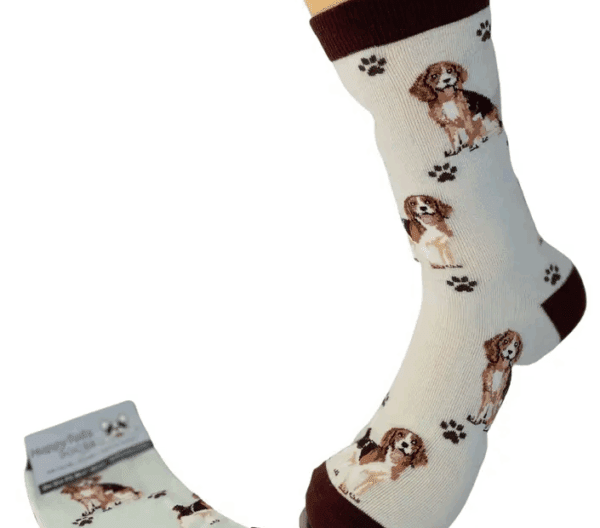 631384642366 631384642366